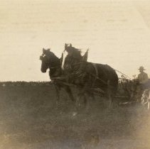 Omc1985.008.051 Image 600dpi